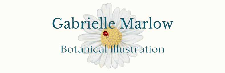 Gabrielle Studio Custom Fabric and Wallpaper by Design Artist Gabrielle Marlow